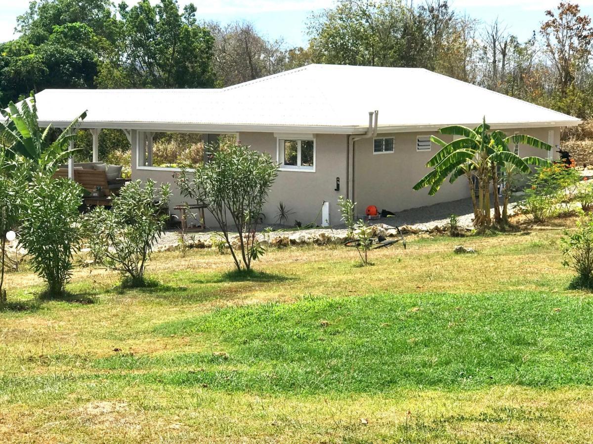 The Grey Houses Grand-Bourg (Marie Galante) Exterior foto